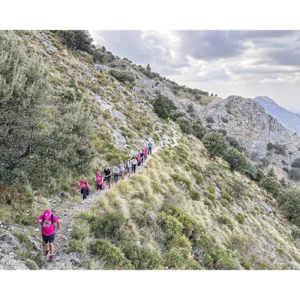 El Pinsapar (Nivel 1 – 6 horas – 10,5 Km)